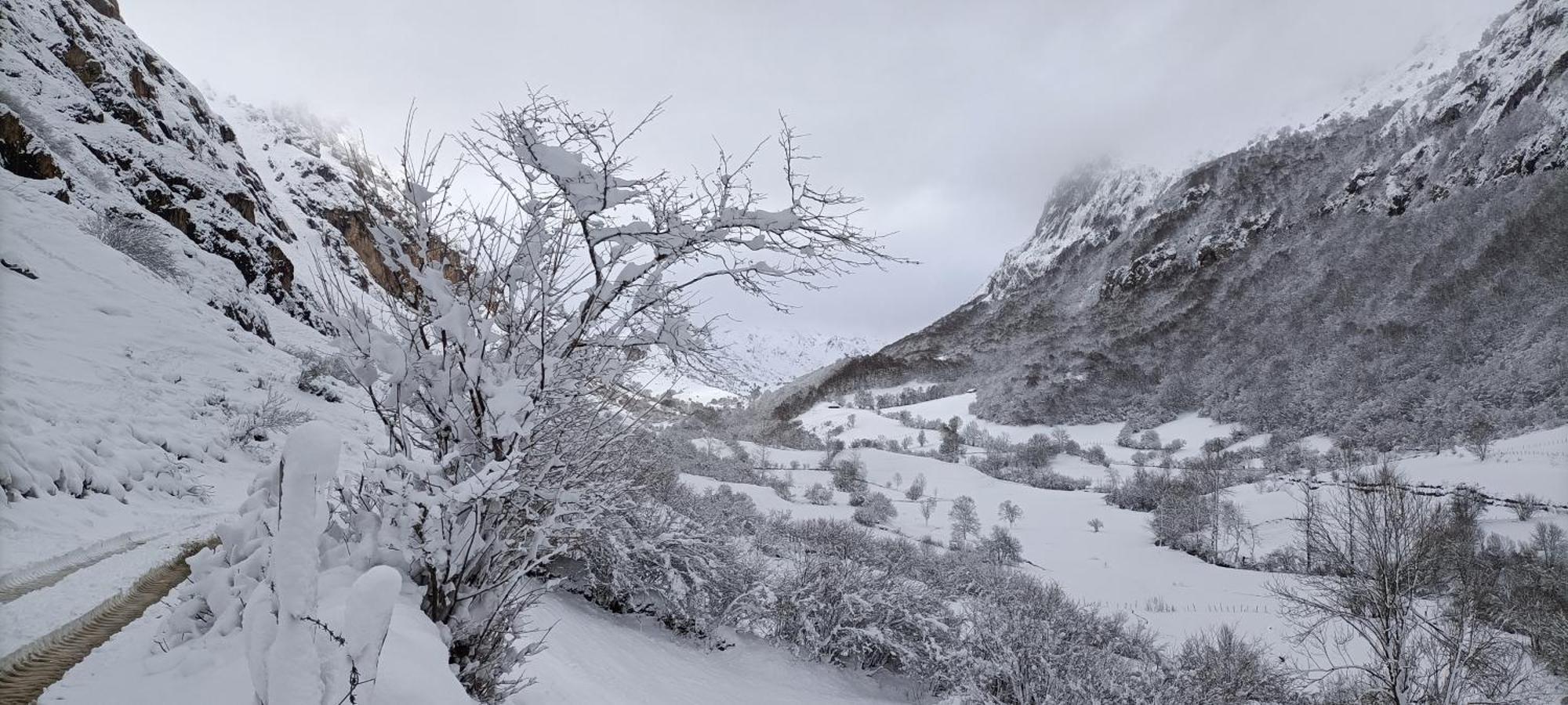 La Corona Del Auteiro Valle de Lago Dış mekan fotoğraf